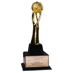 P@SHA ICT Awards, Gold